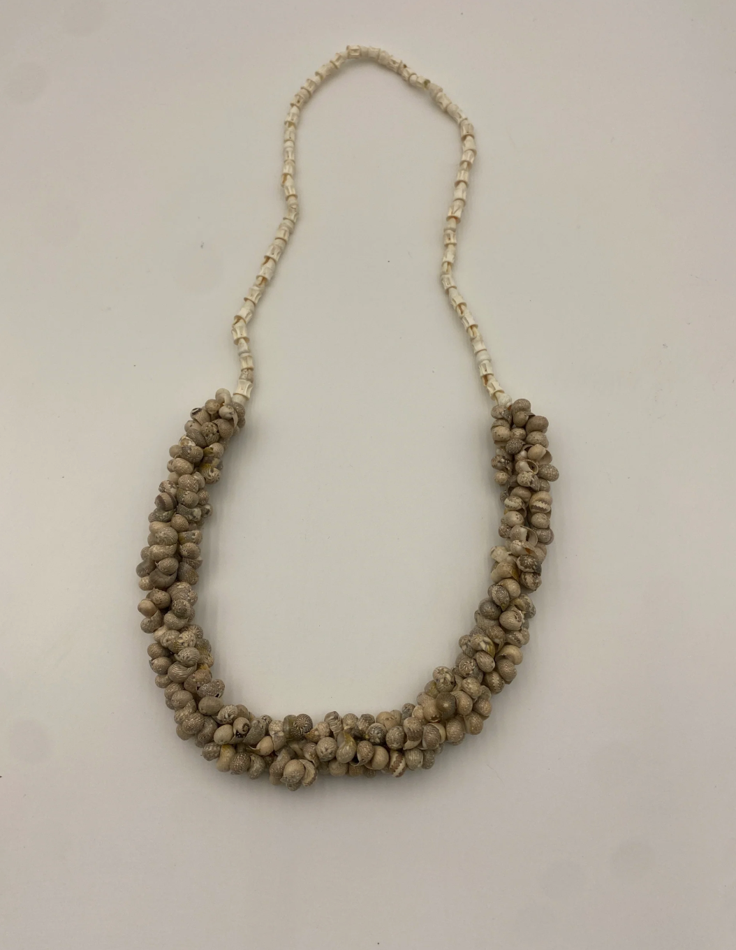 Indómita – Collar de caracol y vértebra de tiburón