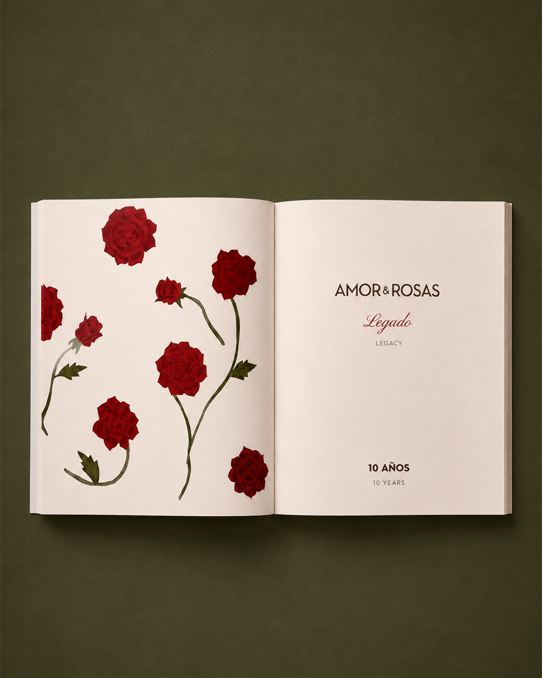 Libro 10 Años de Amor & Rosas